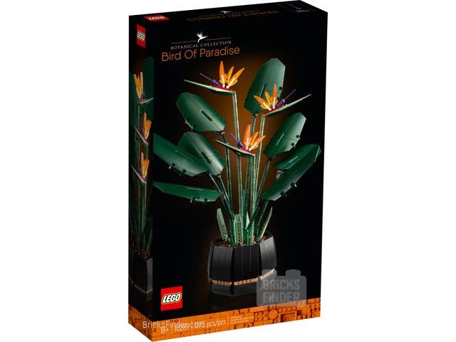 LEGO 10289 Bird of Paradise Box