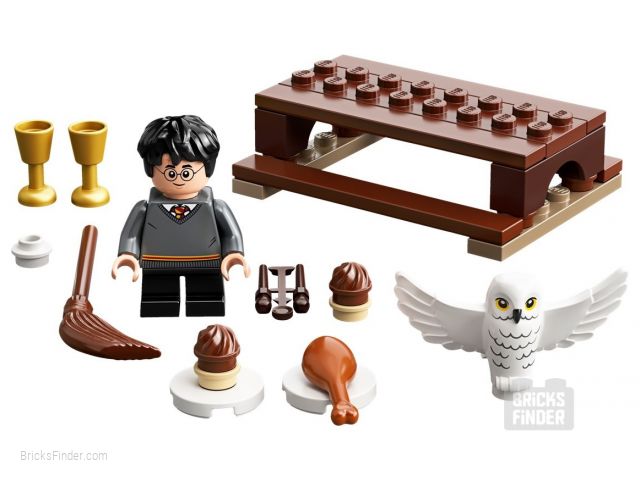 LEGO 30420 Harry Potter and Hedwig: Owl Delivery (Polybag) Image 1
