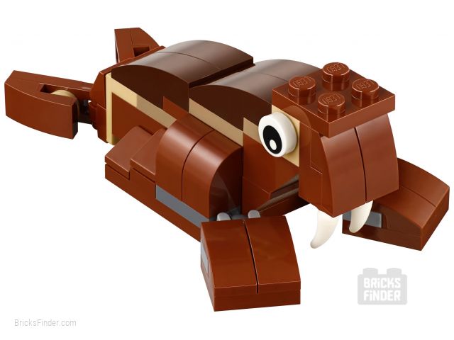 LEGO 40276 Walrus (Polybag) Image 1