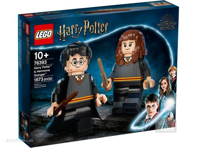 LEGO 76393 Harry Potter & Hermione Granger Box